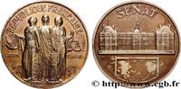 FRANCE Médaille, Sénat POLITIQUE ET POLITICIENS 1981 (49,5mm, 84,35g, 12h) -