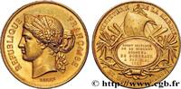 FRANCE Médaille, Sport nautique, Régates de Bordeaux MER ET MARINE : PAQUEBOTS, NAVIRES, BATEAUX 33 - Pauillac 1882 (33,5mm, 23,69g, 12h) -
