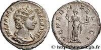 THE SEVERANS (193 AD to 235 AD) Denier JULIA MAMAEA Rome 224 (20,5mm, 3,20g, 5h) -