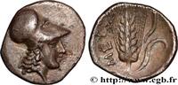 Classic 3 (350 BC to 323 BC) Diobole LUCANIA - METAPONTUM Métaponte, Lucanie c. 330 AC. (12,5mm, 0,89g, 7h) -