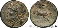 Hellenistic 1 (323 BC to 188 BC) Unité APULIA - ARPI Arpi, Apulie c. 325-275 AC. (21mm, 8,16g, 1h) -
