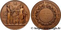 FRANCE Médaille, Société d’enseignement professionnel du ENSEIGNEMENT 1917 (50mm, 68,09g, 12h) -