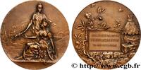 FRANCE Médaille, Établissements Poliet & Chausson BORDELAIS - VILLES, ENTREPRISES ET VINS n.d. (49,5mm, 60,90g, 12h) -