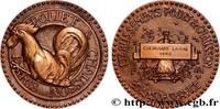 FRANCE Médaille, Établissements Poliet & Chausson BORDELAIS - VILLES, ENTREPRISES ET VINS 1959 (58,5mm, 99,50g, 12h) -