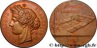 FRANCE Médaille, Exposition universelle EXPOSITIONS UNIVERSELLES 75 - Paris 1889 (50,5mm, 55,09g, 12h) -