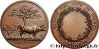 FRANCE Médaille, Classe d’agriculture, Société des Arts d ARTS ET MÉTIERS - ÉCOLES Suisse, Genève n.d. (44,5mm, 37,46g, 12h) -