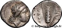 Classic 3 (350 BC to 323 BC) Nomos, statère ou didrachme LUCANIA - METAPONTUM Métaponte, Lucanie c. 330-290 AC. (20,5mm, 7,72g, 6h) -