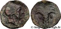 FRANCE Unité de bronze au palmier et à la tête casquée HISPANIA - SPAIN - HISPANO-CARTAGIENSIS Carthagène, Espagne c. 218-201 AC. (21mm, 4,89g, 12h) -