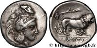 Classic 3 (350 BC to 323 BC) Nomos, statère ou didrachme LUCANIA - VELIA Vélia, Lucanie c. 305/304-293/290 AC. (21mm, 7,22g, 7h) -