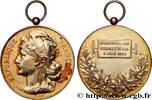 FRANCE Médaille, Festival de Cormatin TROISIÈME RÉPUBLIQUE 71 - Cormatin 1892 (56mm, 37,72g, 12h) -