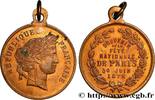 FRANCE Médaille, Souvenir de la fête nationale TROISIÈME RÉPUBLIQUE 75 - Paris 1878 (27,5mm, 3,33g, 12h) -
