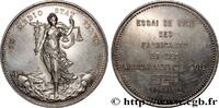 FRANCE Médaille, Essai de soie des fabricants et marchand LYON ET LE LYONNAIS - JETONS ET MÉDAILLES DU XIXe SIÈCLE 1882 (36,5mm, 21,19g, 12h) -