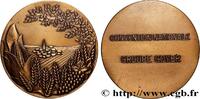 FRANCE Médaille, Convention Nationale, Groupe Goyer ENTREPRISES, INDUSTRIES ET COMMERCES DIVERS n.d. (64,5mm, 153,99g, 12h) -