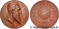 FRANCE Médaille, Exposition Universelle d’Anvers EXPOSITIONS UNIVERSELLES Belgique, Anvers 1894 (60,5mm, 105,18g, 12h) -
