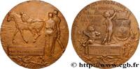 FRANCE Médaille, Association fondatrice et fédérative des TROISIÈME RÉPUBLIQUE 54 - Nancy 1910 (49,5mm, 65,79g, 12h) -
