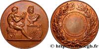 FRANCE Médaille, Société des amis des arts de l’Eure SOCIÉTÉS 1890 (50,5mm, 61,17g, 12h) -