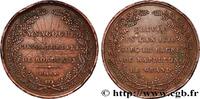 FRANCE Médaille, Synagogue de Bordeaux MONUMENTS 1810 (35,5mm, 18,87g, 12h) -