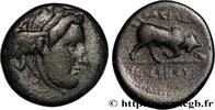 Hellenistic 1 (323 BC to 188 BC) Chalque SYRIA - SELEUKID KINGDOM - SELEUKOS I NIKATOR Antioche, Syrie c. 282-281 AC. (19mm, 5,90g, 9h) -