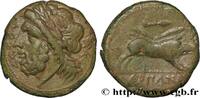 Hellenistic 1 (323 BC to 188 BC) Unité APULIA - ARPI Arpi, Apulie c. 325-275 AC. (21,5mm, 6,69g, 7h) -