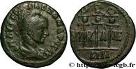 THE SEVERANS (193 AD to 235 AD) Diassaria SEVERUS ALEXANDER Nicée, Bithynie 223-226 (20,5mm, 4,13g, 1h) -