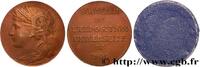FRANCE Médaille de Souvenir de l’Exposition universelle EXPOSITIONS UNIVERSELLES 75 - Paris 1900 (31,5mm, 13,42g, 12h) -
