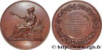 FRANCE Médaille, Société industrielle de Mulhouse SOCIÉTÉS 68 - Mulhouse 1895 (67,5mm, 147,72g, 12h) -