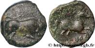 Hellenistic 1 (323 BC to 188 BC) Unité APULIA - ARPI Arpi, Apulie c. 275-250 AC. (19,5mm, 6,46g, 11h) -