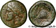 Classic 3 (350 BC to 323 BC) Litra CAMPANIA - NEAPOLIS Naples, Campanie c. 300-275 AC. (21mm, 6,66g, 11h) -