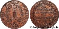 FRANCE Médaille, Défense de la Constitution DEUXIÈME RÉPUBLIQUE 1848 (37mm, 27,08g, 6h) -