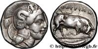 Hellenistic 1 (323 BC to 188 BC) Nomos, statère ou didrachme LUCANIA - THOURIOI Lucanie, Thurium c. 340 AC. (19,5mm, 7,80g, 6h) -