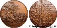 FRANCE Médaille, Les Grandes eaux à Versailles MONUMENTS ET HISTOIRE Monnaie de Paris 1977 (81,5mm, 231,48g, 12h) -