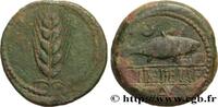 FRANCE Unité de bronze ou as HISPANIA - SPAIN - ILIPENSE (Alcala del Rio, Province of Seville) Ilipense IIe siècle avant J.-C. (32mm, 18,75g, 9h) -