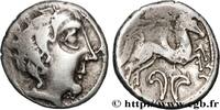 FRANCE Drachme au cavalier et au fleuron PICTONES / BITURIGES - MID-WESTERN, Unspecified c. 80-60 AC. (16mm, 3,27g, 3h) -