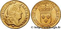 FRANCE Louis d'or à l'écu LOUIS XIV THE SUN KING Lyon 1690 (24,5mm, 6,48g, 6h) -