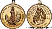 FRANCE Médaille, Passage miraculeux du Ruisseau le Courbe MÉDAILLES RELIGIEUSES 31 - Pibrac 1867 (46mm, 28,33g, 12h) -