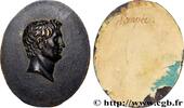 FRANCE Médaille, Pompée ANTIQUITE n.d. (60mm, 48,40g, 12h) -