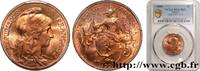 FRANCE 5 centimes Daniel-Dupuis III REPUBLIC 1899 (25mm, 5g, 6h) -
