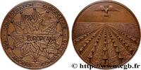FRANCE Médaille, Confédération européenne des anciens com SECONDE GUERRE WWII Monnaie de Paris 1974 (67,5mm, 136,50g, 12h) -