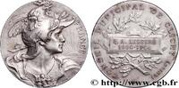 FRANCE Médaille, FRANCE, Conseil municipal CONSEIL GÉNÉRAL, DÉPARTEMENTAL OU MUNICIPAL - CONSEILLERS 1904 (50mm, 62,77g, 12h) -