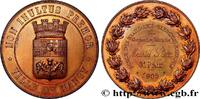 FRANCE Médaille, Prix, École des Beaux-arts BEAUX-ARTS - SOCIÉTÉS, ÉCOLES ET PRIX 54 - Nancy 1905 (50,5mm, 67,58g, 12h) -