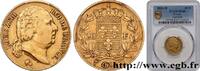 FRANCE 20 francs or Louis XVIII, tête nue LOUIS XVIII Lille 1823 (21,04mm, 6,45g, 6h) -