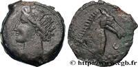 Hellenistic 1 (323 BC to 188 BC) Double Shekel ZEUGITANA - CARTHAGE Sardaigne c. 264-241 AC. (27mm, 16,32g, 12h) -