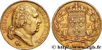 FRANCE 20 francs or Louis XVIII, tête nue LOUIS XVIII Perpignan 1816 (21mm, 6,40g, 6h) -