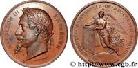 FRANCE Médaille, Exposition universelle EXPOSITIONS UNIVERSELLES 75 - Paris 1867 (36,5mm, 61,01g, 12h) -
