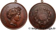 FRANCE Médaille, Société, d’agriculture, du commerce et d SOCIÉTÉS D'AGRICULTURE, HORTICULTURE, PÊCHE ET CHASSE n.d. (66mm, 95,54g, 12h) -