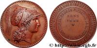 FRANCE Médaille, 50e anniversaire de la fondation de la s ACADÉMIES ET SOCIÉTÉS SAVANTES Belgique, Mons 1883 (37mm, 14,39g, 12h) -