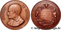 FRANCE Médaille, Comice agricole de l’entre-deux-mers SOCIÉTÉS D'AGRICULTURE, HORTICULTURE, PÊCHE ET CHASSE 33 - Gironde 1895 (45mm, 48,18g, 12h) -