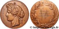 FRANCE Médaille, offert par le conseiller général CONSEIL GÉNÉRAL, DÉPARTEMENTAL OU MUNICIPAL - CONSEILLERS n.d. (50,50mm, 67,04g, 12h) -