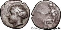 Classic 1 (480 BC to 400 BC) Nomos, statère ou didrachme BRUTTIUM - TERINA Térina, Bruttium c. 440-425 AC. (22mm, 7,32g, 3h) -