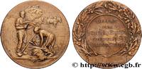 FRANCE Médaille, Offerte par Monsieur de Malartic, consei CONSEIL GÉNÉRAL, DÉPARTEMENTAL OU MUNICIPAL - CONSEILLERS n.d. (45mm, 18,42g, 12h) -